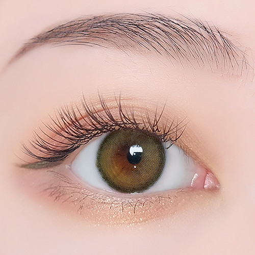 CANNA ROZE - OLIVE GREEN