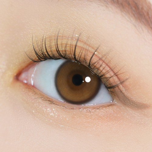 [1DAY] YURIAL - WATER BROWN