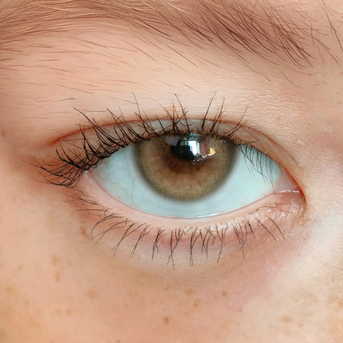 BADCAT - SIAMESE BEIGE