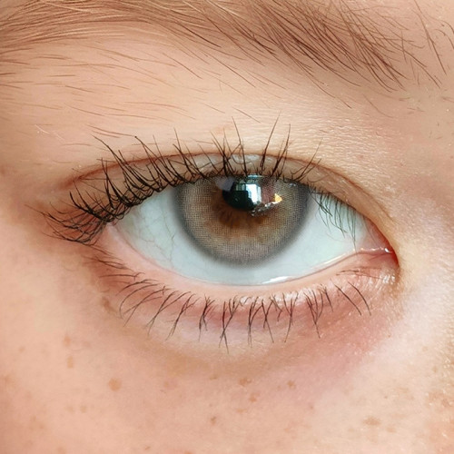 BADCAT - EGYPTIAN GRAY